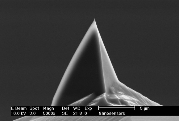 NANOSENSORS™ Special Developments List (SDL) Phosphorous doped PointProbe Plus AFM tip